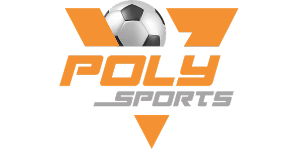 Poly Network logo